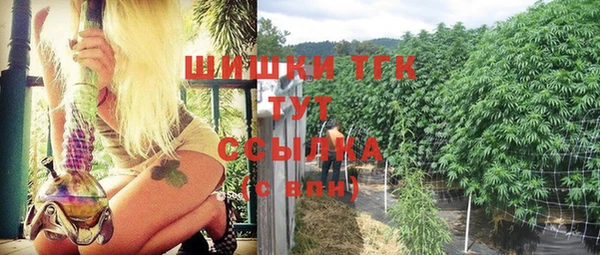 сатива Козельск
