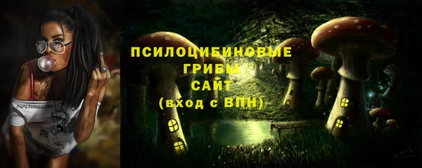 прущий лед Козловка