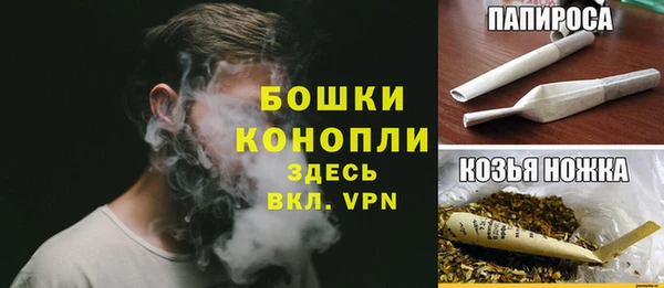 сатива Козельск