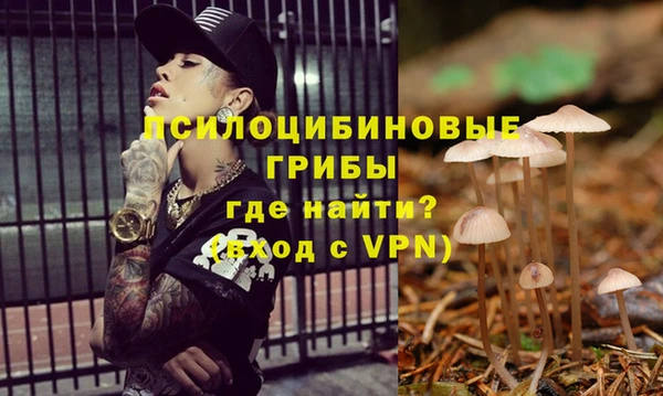 сатива Козельск