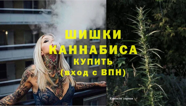 прущий лед Козловка