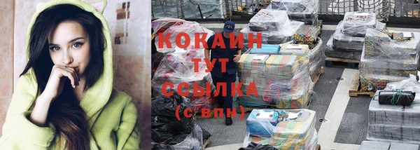 прущий лед Козловка