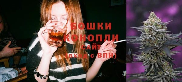 прущий лед Козловка