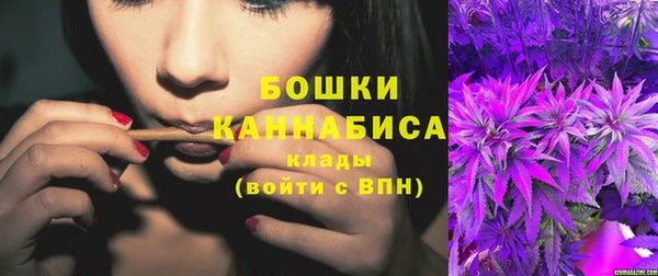 сатива Козельск
