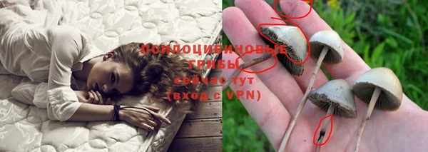сатива Козельск